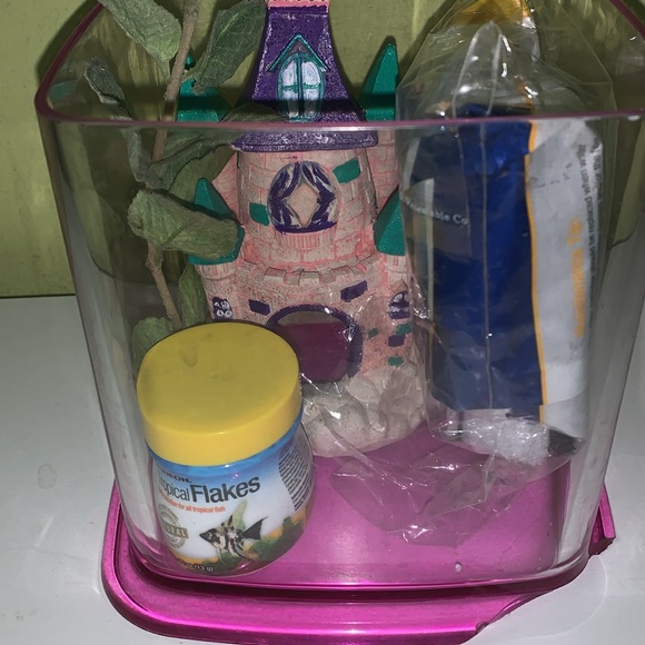 Beta fish Mini tank bundle, filters, food, decorations, mini tank - Picture 13 of 13